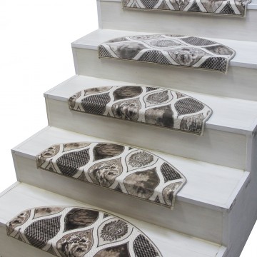 Baskılı ve Desenli Alınlıklı Basamak Paspası